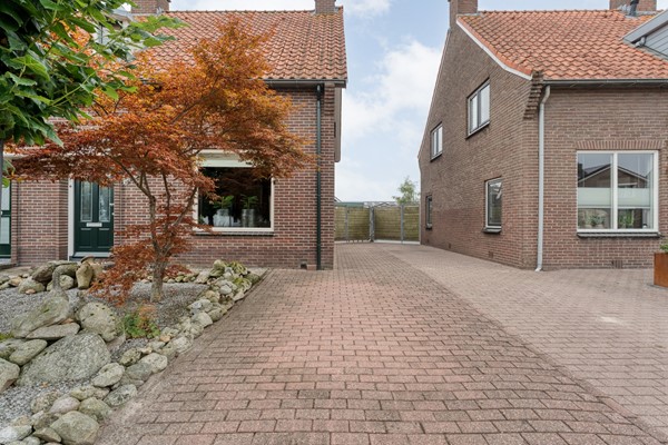 Foto- 5.jpg